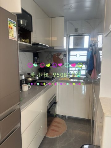 南華莆  95081731