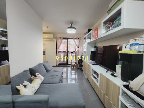 龍尾村 95081731