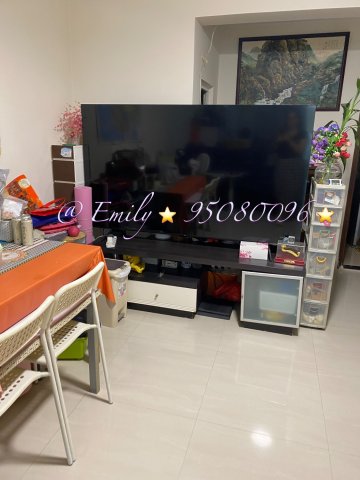 下禾輋村 @ EMILY 95080096