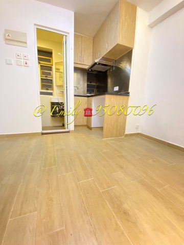 沙田圍舊村 @ EMILY 95080096