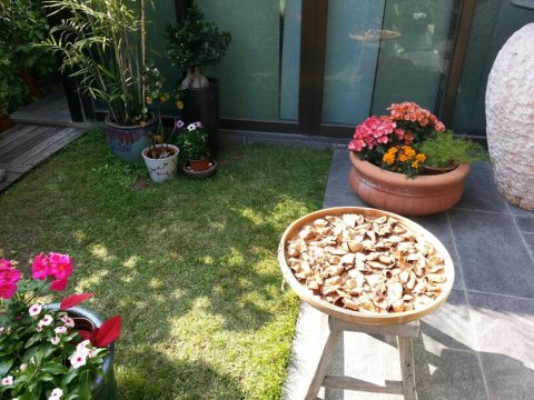 雅麗山莊 95080030