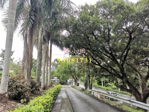 林村三樓連天台  95081731