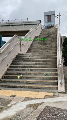 上禾輋村 @ EMILY 95080096