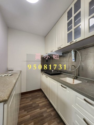 山頂花園  95081731