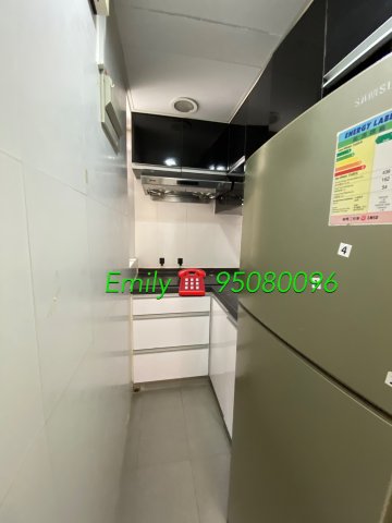 翠華花園 @ EMILY 95080096