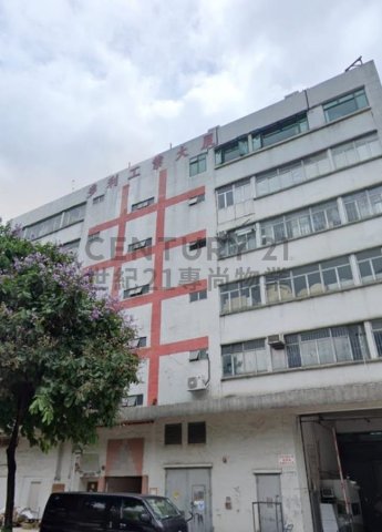 多利工業大廈 粉嶺 低層 C101277 售盤
