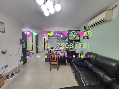 華樂豪庭   95081731