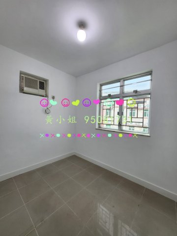 林村新村   95081731