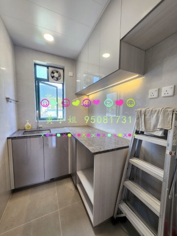 坑下莆    95081731