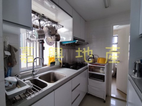 井頭村 95080030