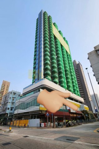 南首 九龍城 中層 1661490 售盤