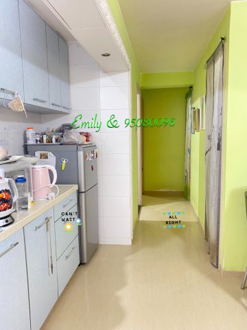 田心村 @ EMILY 95080096