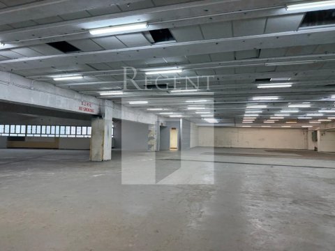 Tai Po Industrial, Tai Ping Industrial Park