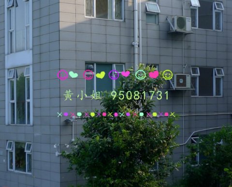 汀角村   95081731