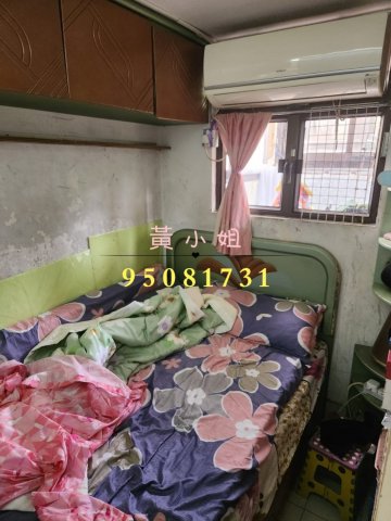 鳳園村   95081731