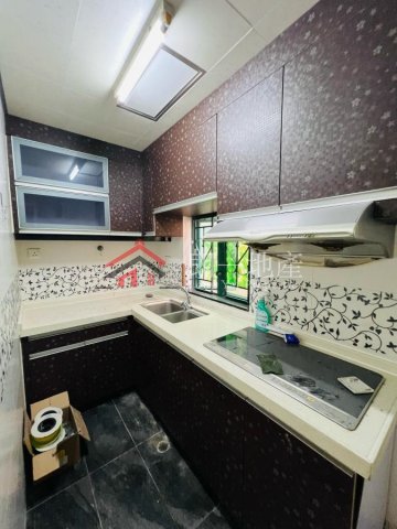 天水圍村屋
