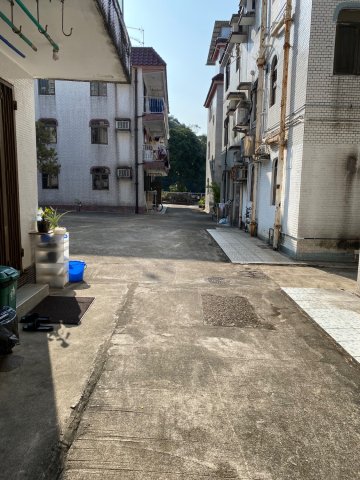 作壆坑 @ EMILY 95080096