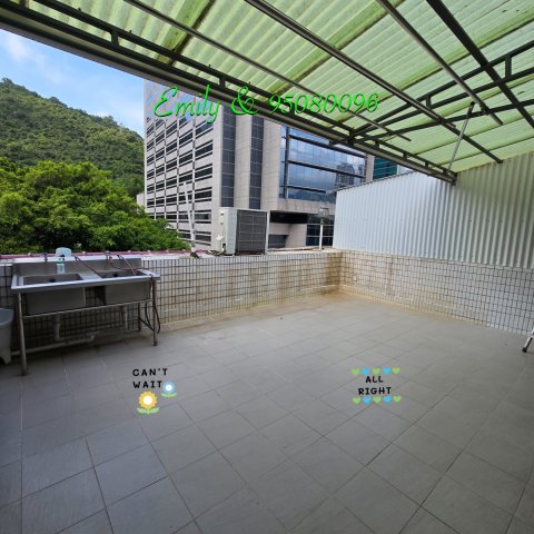 排頭村 @ EMILY 95080096