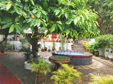 牛皮沙新村 @ EMILY 95080096