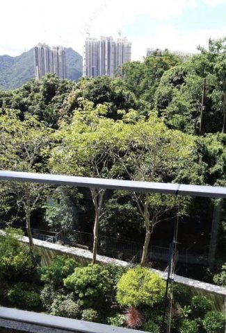 壹号云顶 沙田 低层 1645988 售盘