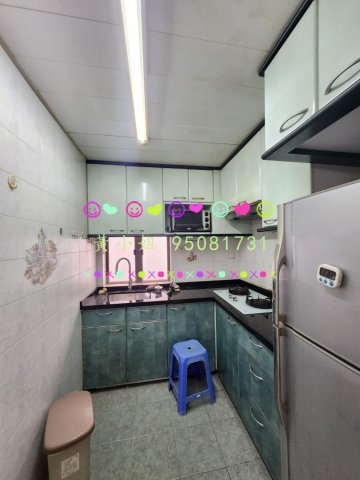龍尾村   95081731 頭排 車泊樓下