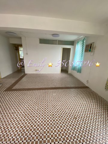 九肚村 @ EMILY 95080096