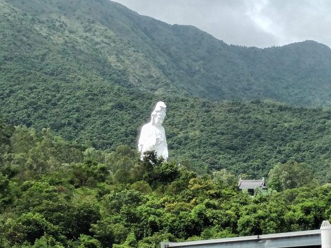 洞梓圍下村 95080030