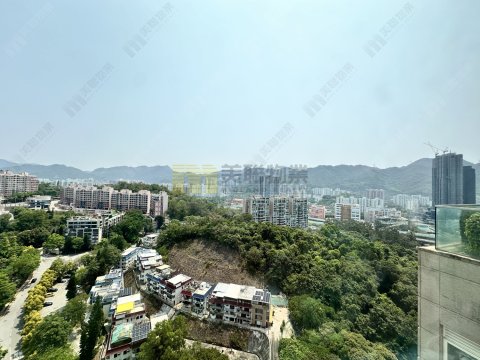 壹号云顶 沙田 顶层 1685031 售盘