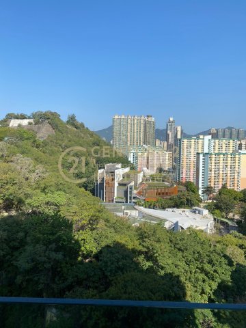 何文田山畔 第02座