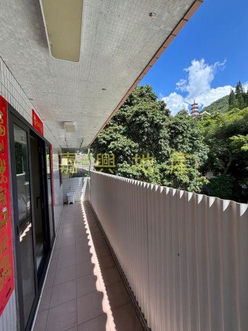 排頭村 95080030