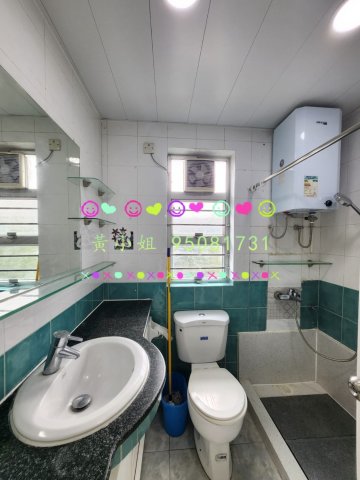 林村新村   95081731