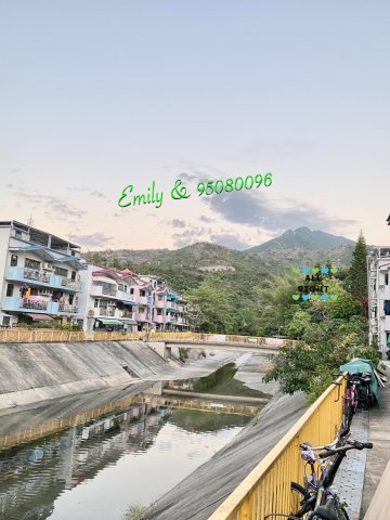 大水坑村 @ EMILY 95080096
