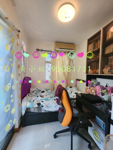 新屋家村  95081731