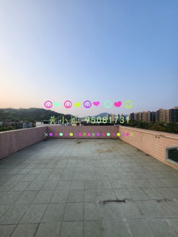 新屋家村  95081731
