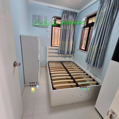 排頭村 @ EMILY 95080096