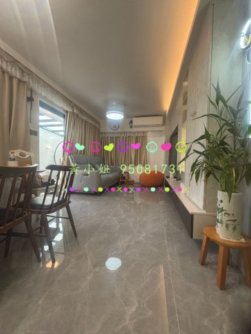 南華莆  95081731