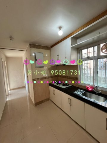 蘆慈田  95081731 車泊樓下X2