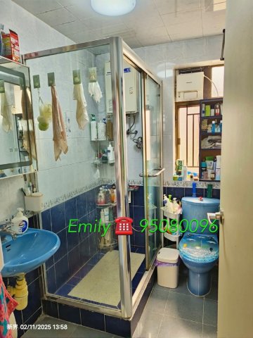 井頭村 @ EMILY 95080096