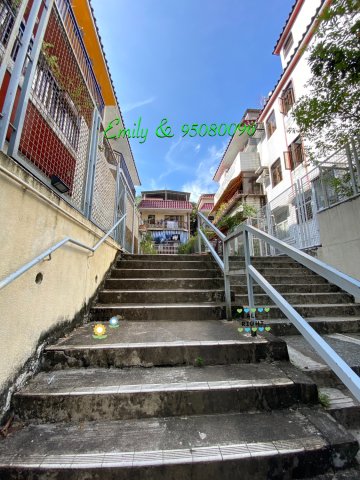 下禾輋村 沙田 A048633 售盤