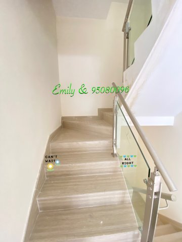 下禾輋村 @ EMILY 95080096
