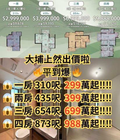 大埔馬窩路19號 大埔 低層 1667010 售盤