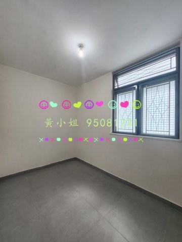 洞梓  95081731