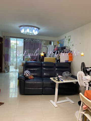 下禾輋村 @ EMILY 95080096