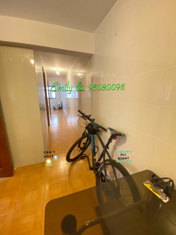 烏溪沙村 @ EMILY 95080096