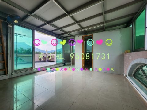 林村新村   95081731