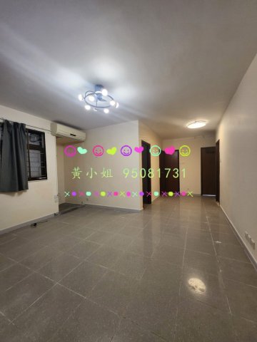 95081731