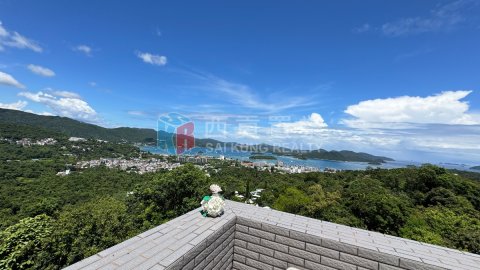 菠蘿輋 西貢半山