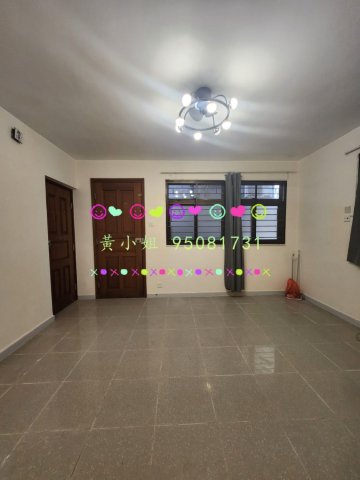 95081731