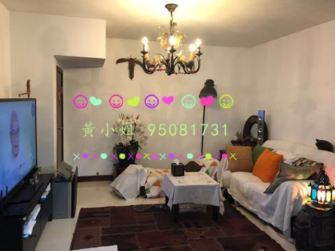95081731