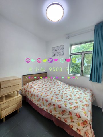 新屋家村  95081731